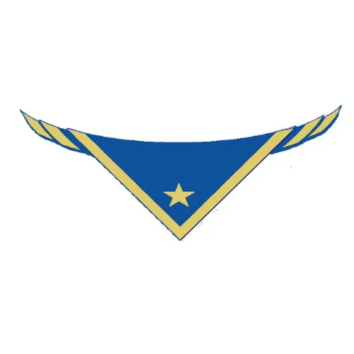 Official logo of Mgarr Scouts Group, a member of Baden Powell Scouts Malta and the World Federation for Independent Scouts (WFIS)