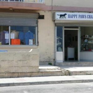 I want to help stray cats by working in a charity shop!