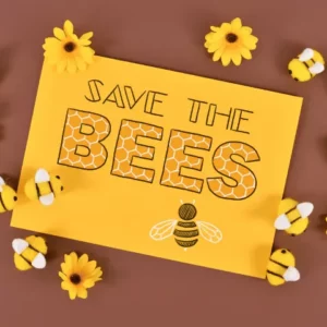I Would Love to Create Social Buzz for Bees!