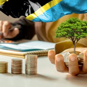 I want to help in raising funds for Tanzania mission work!