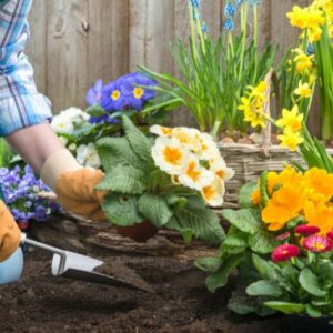 I wanna help in making gardens bloom with joy!