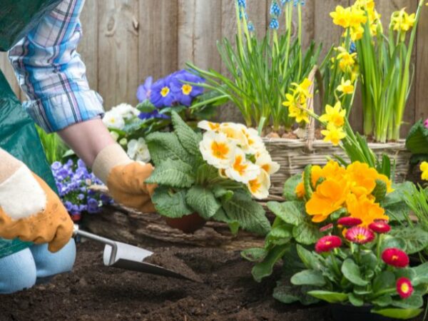 I wanna help in making gardens bloom with joy!