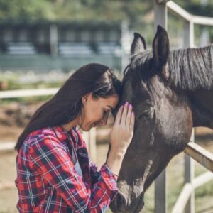 I wish to care for horses at RMJ Horse Rescue Centre