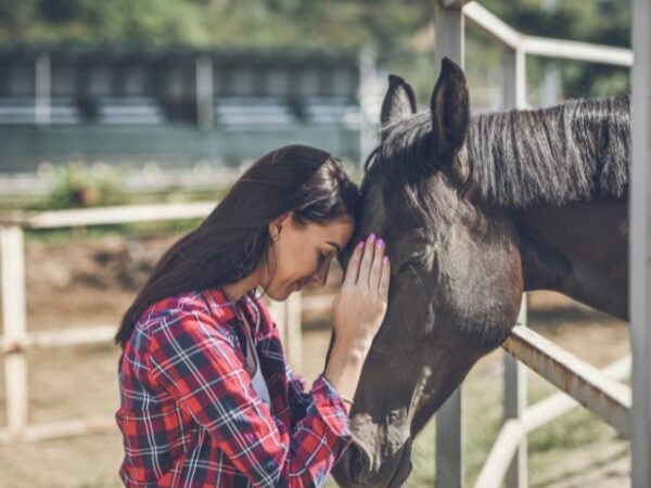 I wish to care for horses at RMJ Horse Rescue Centre