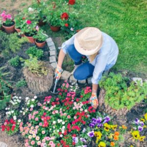 I wanna help in making Swatar green and blooming!