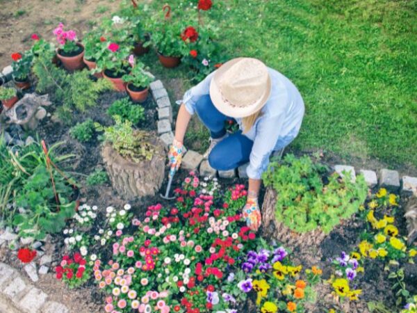I wanna help in making Swatar green and blooming!