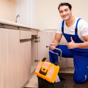 I wish to help in the maintenance at OASI