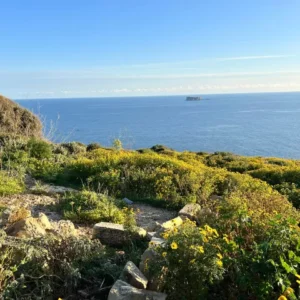 I want to guide students at Xrobb l-Ghagin natural reserve!