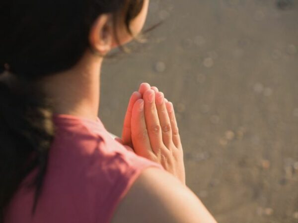 I wish to join the Sisters of Charity in their Prayer Intentions!