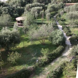 I can help out with Garden Work!