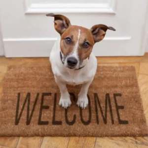 I wish to welcome guests and show life at AAA