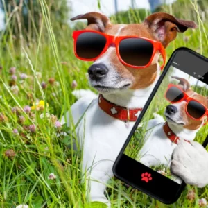 I would like to create content for AAA website and social media