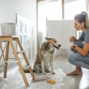 I can help with basic upkeep and maintenance at Noah's Ark Dog Sanctuary in Mellieha