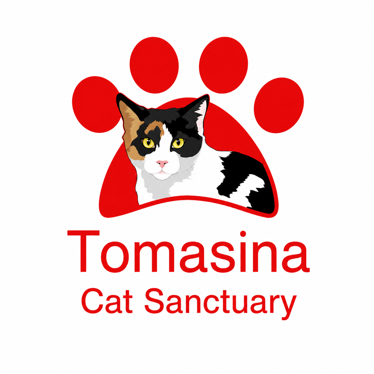 Tomasina Cat Sanctuary